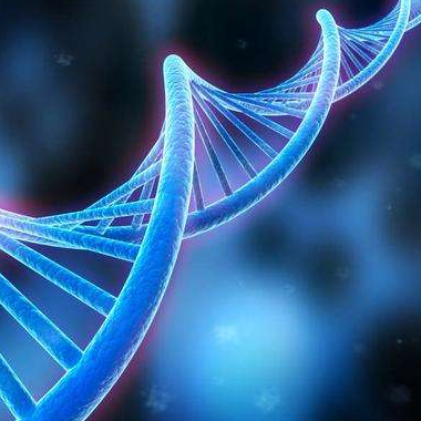 科技部發布2016年生物和醫學領域國家重點實驗室評估結果