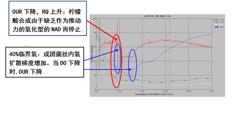 檸檬酸發酵的多尺度相關分析